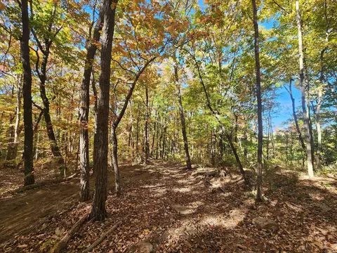 18 Higgenbottom Tpke #18, Altamont, TN 37301