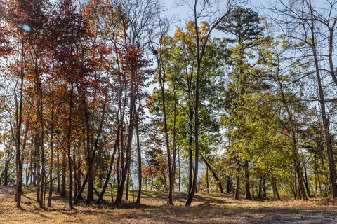 3343 River Gorge Dr, Chattanooga, TN 37419