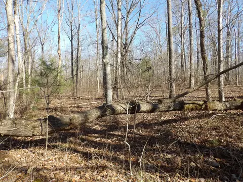 000 Fernhill Rd #5657, Pikeville, TN 37367