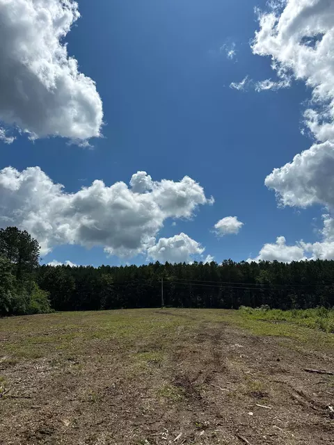 Tract 11 Dykes Hollow, Tracy City, TN 37387