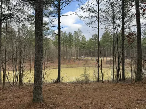 0 Farm Rd #1051, Guild, TN 37340