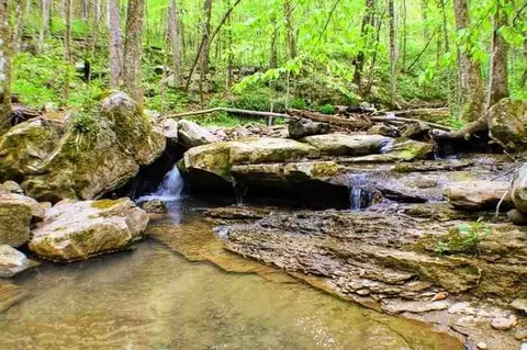 95 Acres Side Cumberland Mtn, Dunlap, TN 37327