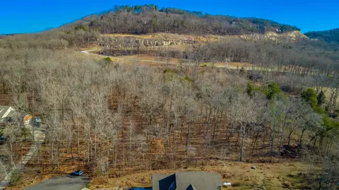 0 Myers Ave, Guild, TN 37340 photo 8