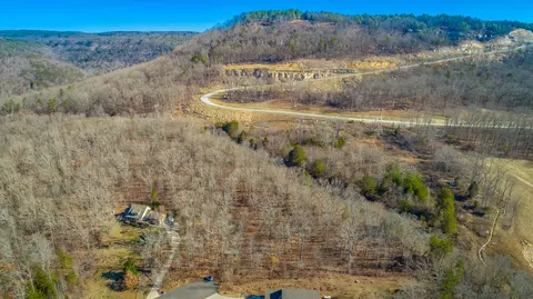 0 Myers Ave, Guild, TN 37340 photo 16