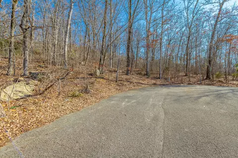 0 Myers Ave, Guild, TN 37340 photo 2