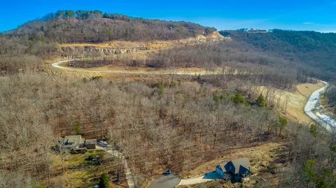 0 Myers Ave, Guild, TN 37340 photo 12