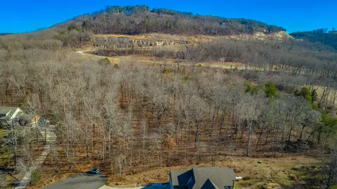 0 Myers Ave, Guild, TN 37340 photo 7
