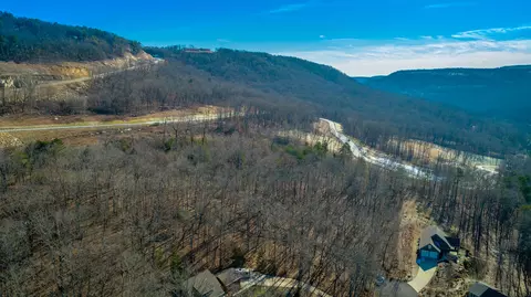 0 Myers Ave, Guild, TN 37340 photo 11