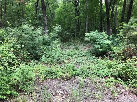 1 Smith Mountain Rd #1, Dunlap, TN 37327