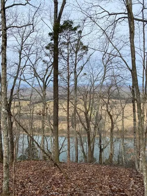 Tract 7 River Road #7, Decatur, TN 37322