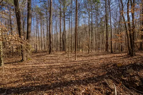 42 Quarles Rd, Rocky Face, GA 30740