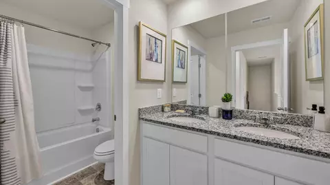 Bath - 5733 Prickly Loop, Ooltewah, TN 37363 photo 4 of 5