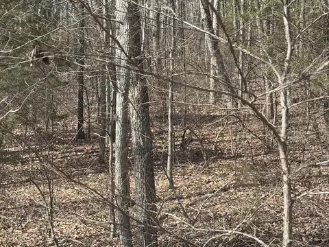 1 Forest Dr, Ringgold, GA 30736