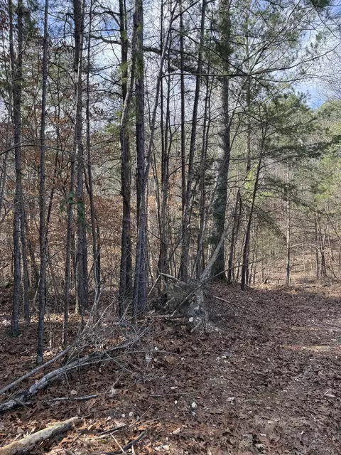 6 S 13 S Miller South Dr, Rising Fawn, GA 30738