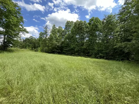 105 Tn-399, Dunlap, TN 37327 photo 11