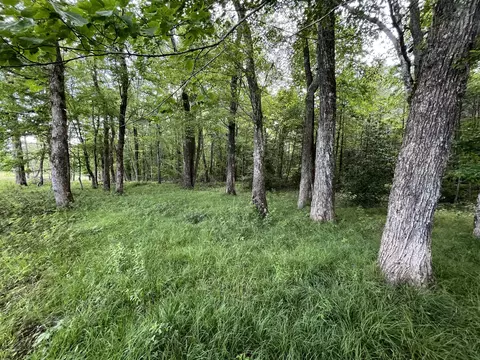 105 Tn-399, Dunlap, TN 37327 photo 3