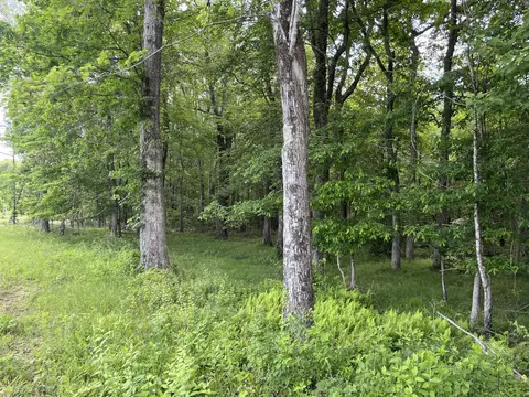 105 Tn-399, Dunlap, TN 37327 photo 2