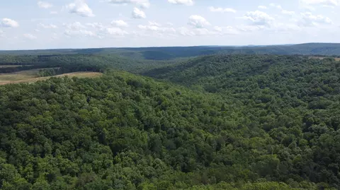 105 Tn-399, Dunlap, TN 37327 photo 16