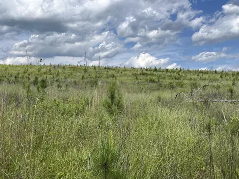 105 Tn-399, Dunlap, TN 37327 photo 15