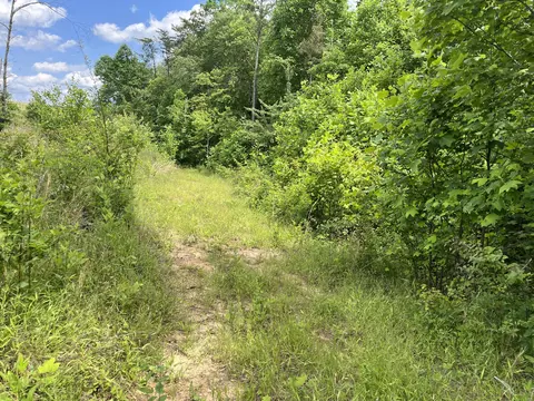 105 Tn-399, Dunlap, TN 37327 photo 12