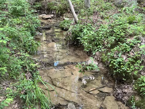 105 Tn-399, Dunlap, TN 37327 photo 7