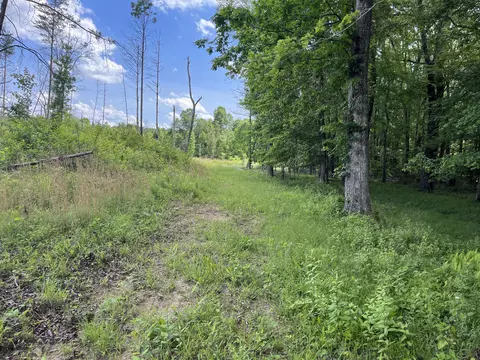 105 Tn-399, Dunlap, TN 37327 photo 5