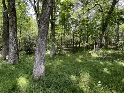 105 Tn-399, Dunlap, TN 37327 photo 4