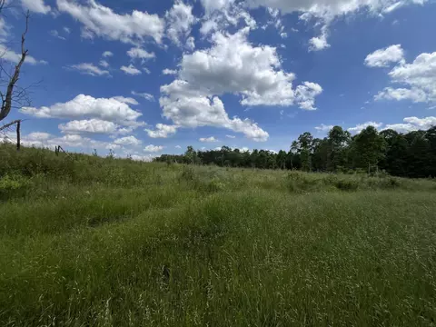 105 Tn-399, Dunlap, TN 37327 photo 9
