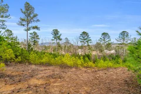 104 Quail Ln, Ocoee, TN 37361 photo 17