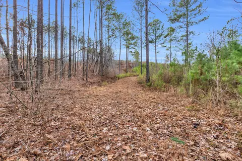 104 Quail Ln, Ocoee, TN 37361 photo 13