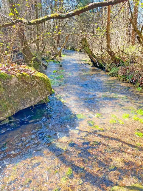 10528 Ooltewah Georgetown Rd, Ooltewah, TN 37363