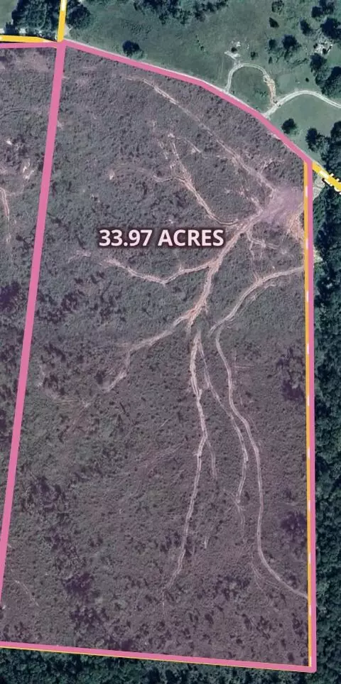 1 Lickpoint Rd, Sequatchie, TN 37374 photo 2