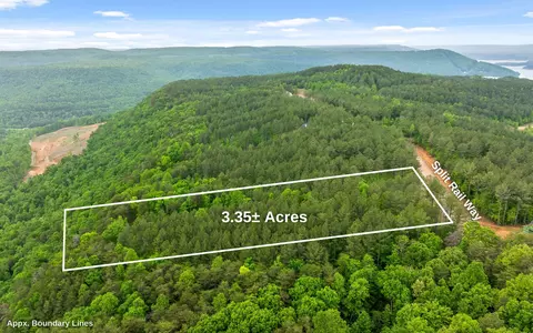 lot1365 Split Rail Way, Guild, TN 37340 photo 8
