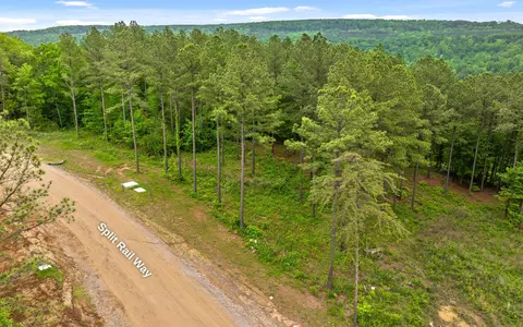 lot1365 Split Rail Way, Guild, TN 37340 photo 11