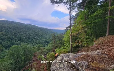 lot1365 Split Rail Way, Guild, TN 37340 photo 3