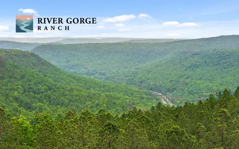 lot1365 Split Rail Way, Guild, TN 37340