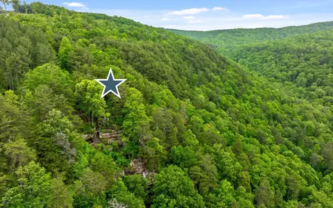 lot1365 Split Rail Way, Guild, TN 37340 photo 18