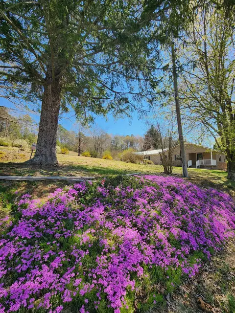 16106 Poole Rd, Sale Creek, TN 37373