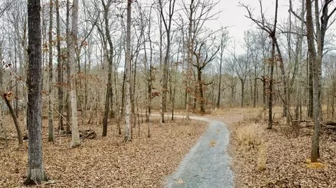9 07 Acres Shahan Ln, Birchwood, TN 37308
