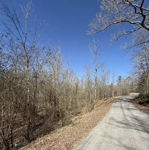 0 Will Allen Rd, Decatur, TN 37322
