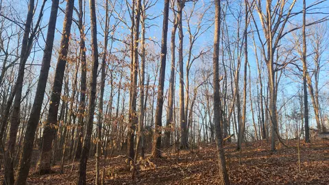 16 39 L Swafford, Pikeville, TN 37367