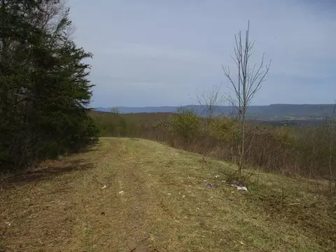 327 Odyssey Farms Rds, Pikeville, TN 37367