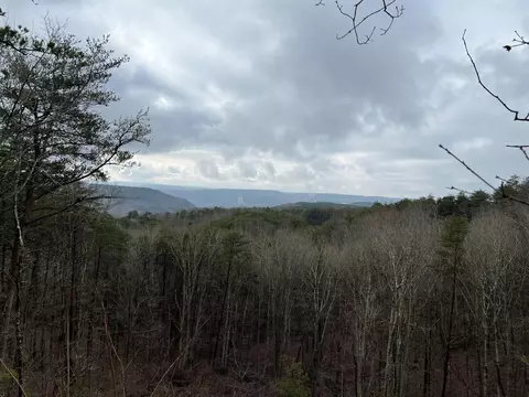 lot1312 S Crow Nest Dr, Guild, TN 37340