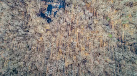 970 Water Fall Rd, Sequatchie, TN 37374 photo 15