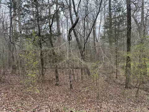 00 Hidden Ridge Loop #LOT 6, Dunlap, TN 37327 photo 2