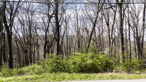 269 Whitehall Rd, Chattanooga, TN 37405