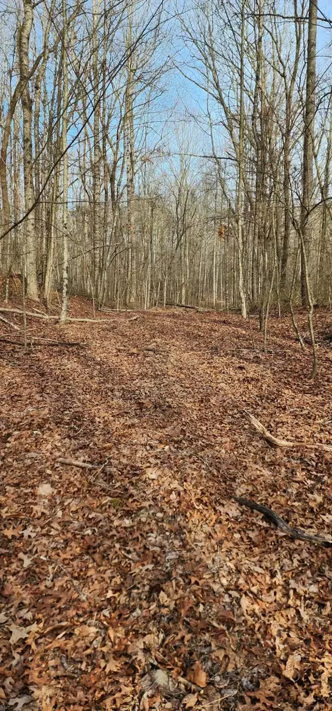 0 Hickory Hollow Sub Rd #13, Tracy City, TN 37387