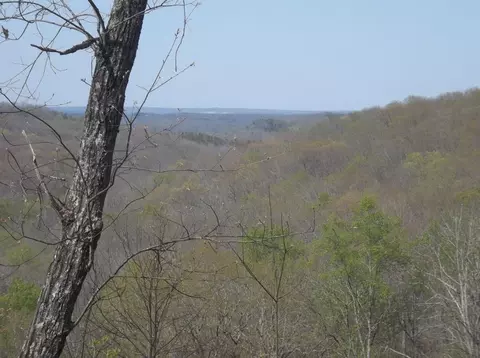 0000 Simmons Rd, Pikeville, TN 37367