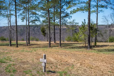 480 Pappy Rd, Jasper, TN 37347 photo 12