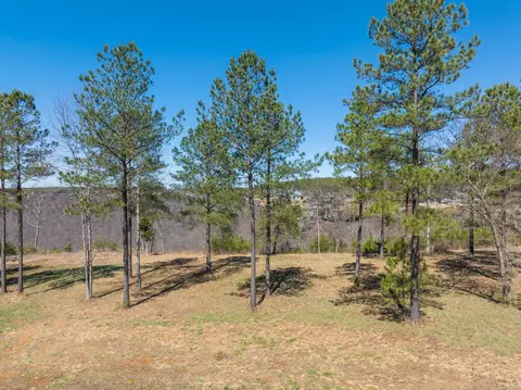 480 Pappy Rd, Jasper, TN 37347 photo 11
